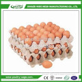 Hot China products wholesale paper pulp 30 chicken eggs tray